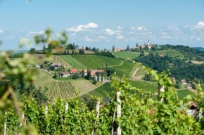 Отель Weingut Schauer  Китцек-Им-Заузаль 